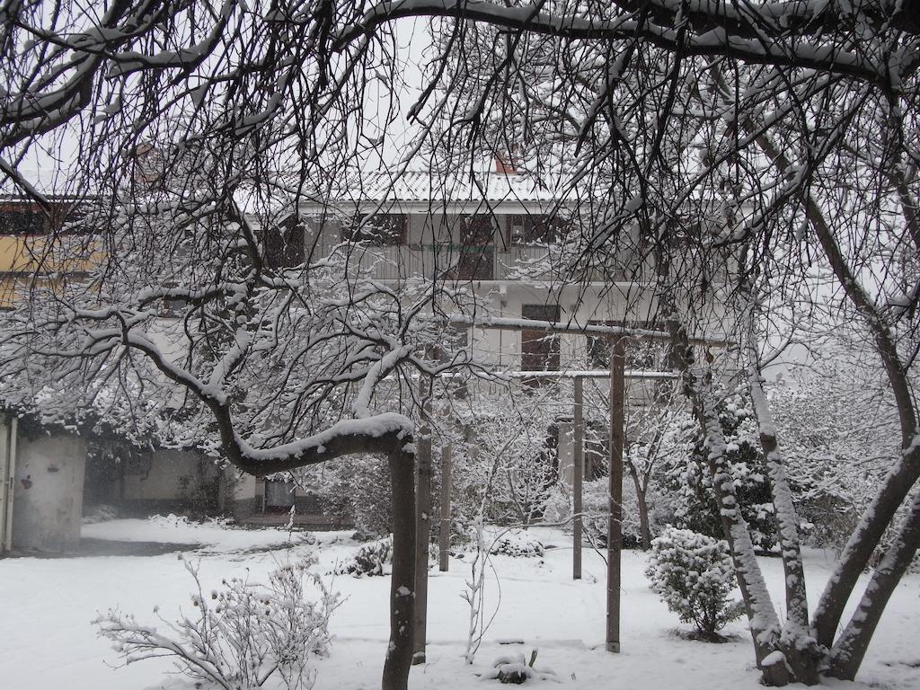 B&B Casa Passito Pavone Canavese ภายนอก รูปภาพ