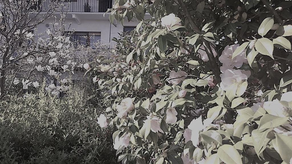 B&B Casa Passito Pavone Canavese ภายนอก รูปภาพ